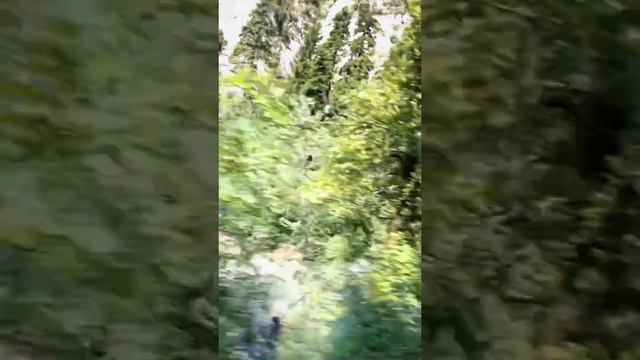 #гидпоабхазии #абхазия #гагра#пицунда#гудаута #цандрипш #новыйафон #сухум#гульрипш #гудаута смотреть онлайн