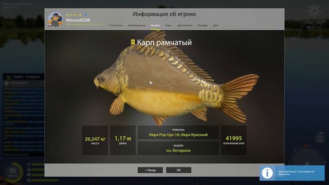 Русская рыбалка 4. Оз. Янтарное ищем карпов смотреть онлайн