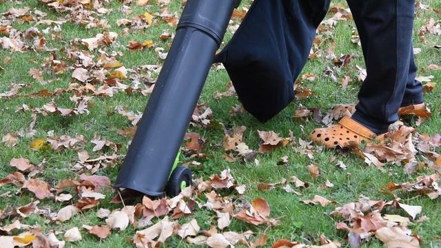 Аккумуляторная воздуходувка–пылесос Greenworks GD40BVII обзор и тест