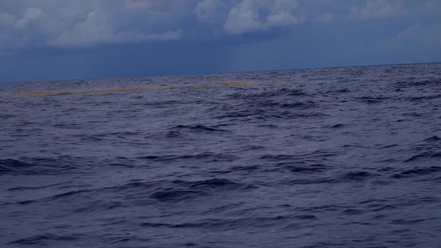 2024 SEASON - Episode 6 Islamorada, FL Keys, Put Me In Coach! смотреть онлайн