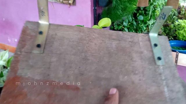 Unique Planter pots Making with Recycling Plastic CD case | pots Making Ideas смотреть онлайн