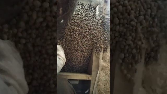 утепление дымохода смотреть онлайн