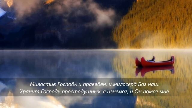 Псалом 114_Я радуюсь, что Господь услышал моление мое! смотреть онлайн