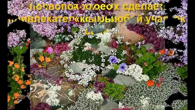 Газон на даче своими руками. Почвопокровные растения смотреть онлайн