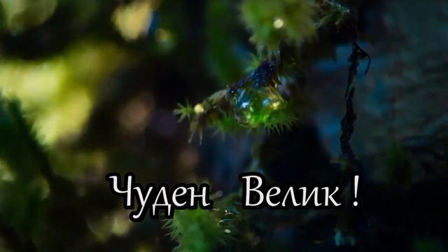 Христианское  караоке - Ты Господь !!!(love of Christ)