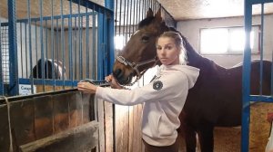 Правила техники безопасности при работе с лошадью на конюшне