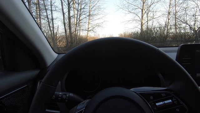 Kia Seltos 2.0 IVT 2WD Luxe Первый глюк? смотреть онлайн