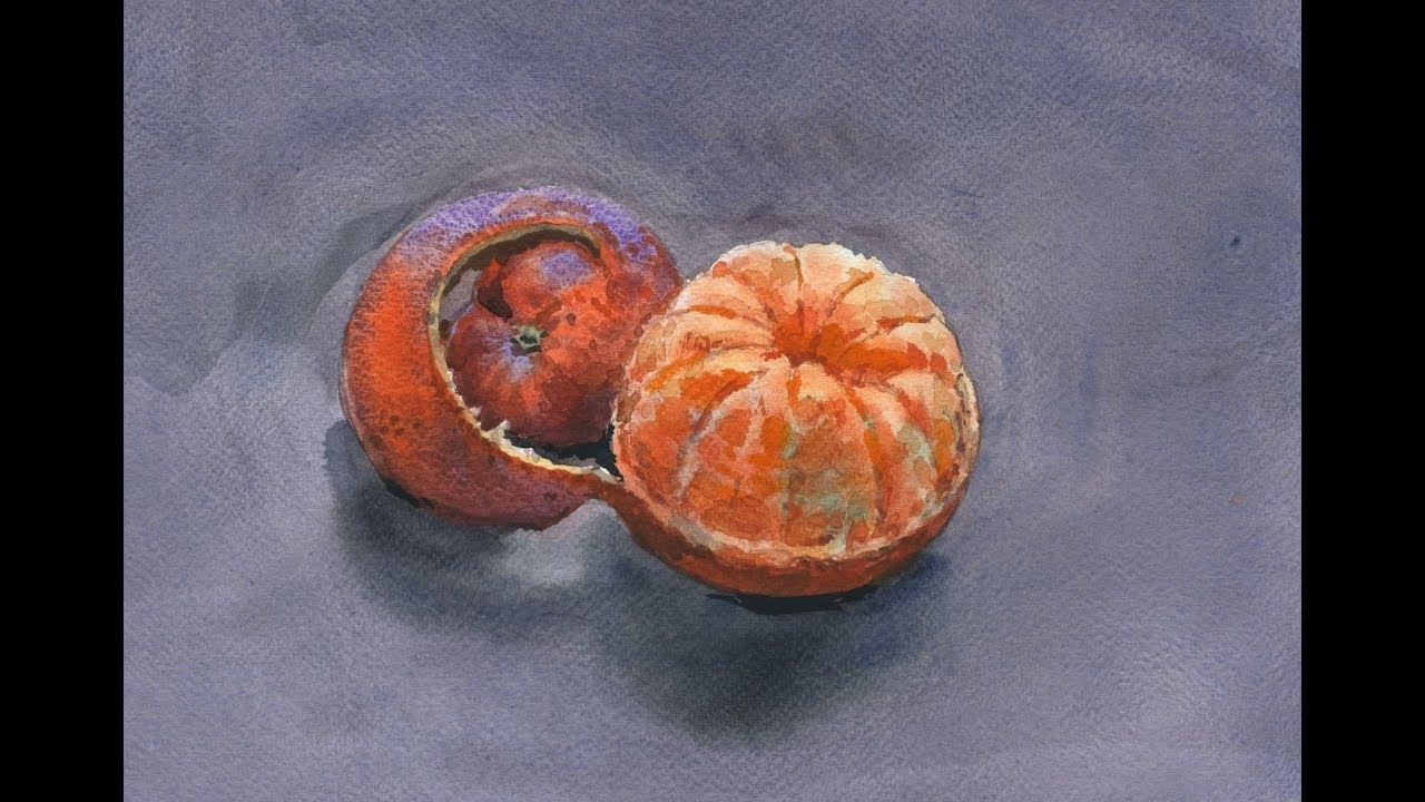 Мандарин акварелью с натуры смотреть онлайн
