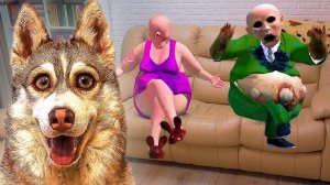 ЭЙ МУЖИК И ЭЙ ТЕТКА ОСТАНОВИСЬ НА МИНУТУ ЖИВУТ С НАМИ!! (Хаски Бублик) Говорящая собака