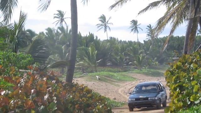 Playa Uvero Alto República Dominicana 5 смотреть онлайн
