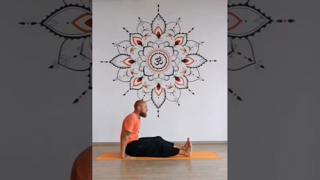 Видеоурок - практика йоги для начинающих и продолжающих смотреть онлайн