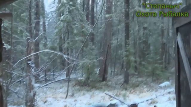 Охота 2015 -  2016 Первая часть