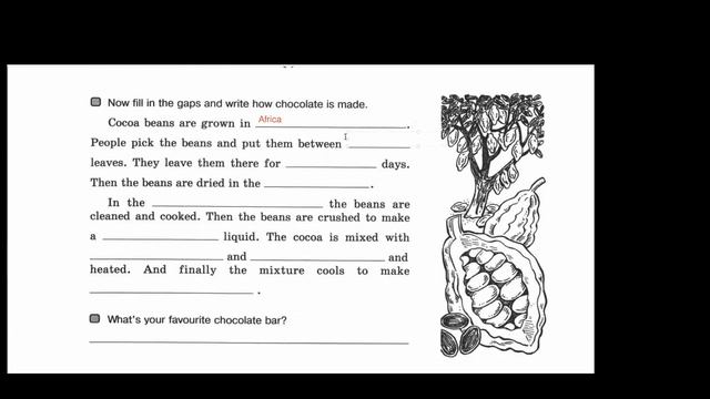 Английский язык Forward 5 класс рабочая тетрадь страница 24 смотреть онлайн