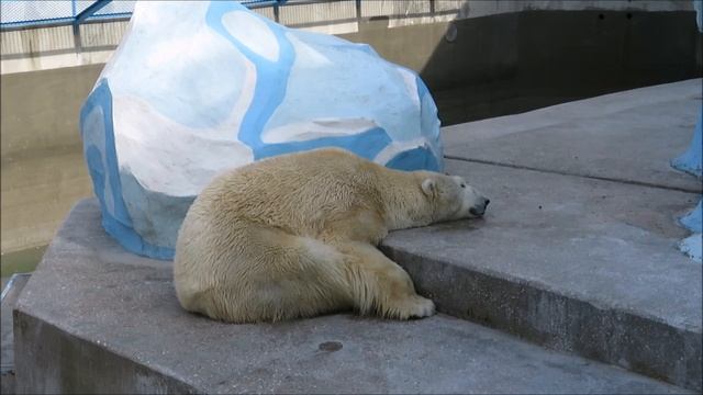 Кай спит 26.04.2023 смотреть онлайн