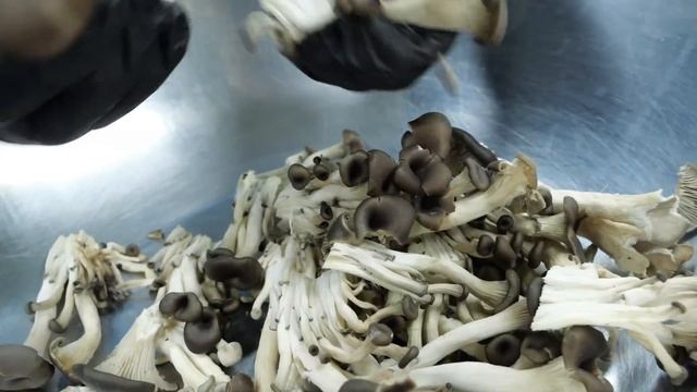 파스타와 리조또를 밀키트로 ?! 수제 소스 꼬들꼬들 면발 그대로 ! | How Pasta, Risotto Meal Kit Is Made | Korean Street Food