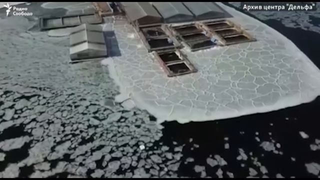 Китовая тюрьма в Приморском крае смотреть онлайн