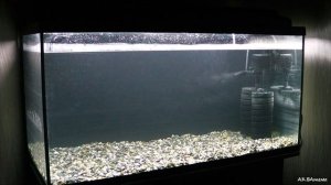 Запуск аквариума на 200 литров Часть №1