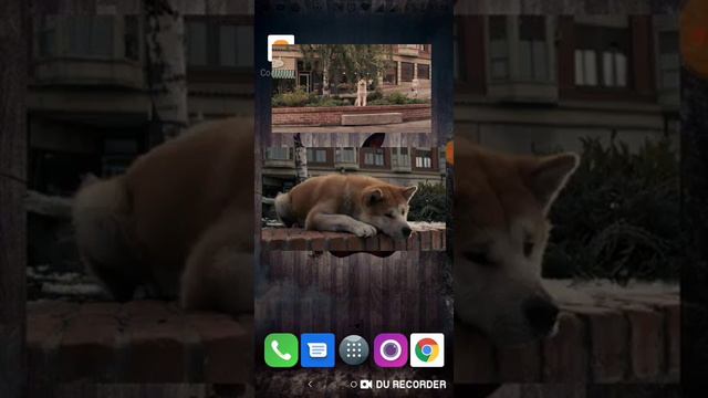 Фильм Хатико