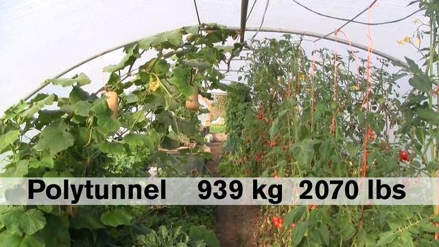 5 kg per Square Meter or 1 Pound per Square Foot смотреть онлайн