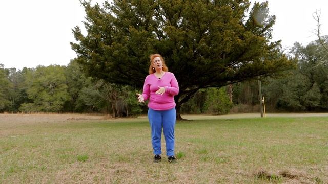 The 3 WORST Chicken Breeds смотреть онлайн