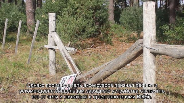 Популярный зарядник для iPhone признали опасным смотреть онлайн