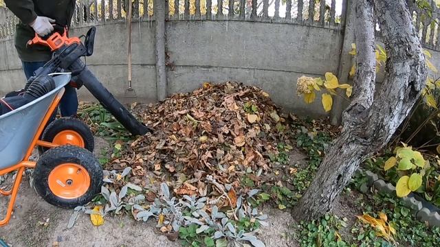 садовый пылесос black&decker BEBLV 301-QS в работе смотреть онлайн