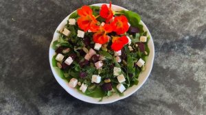 Настурция. Съедобная настурция-неприхотливое растение для сада и балкона! Применение в кулинарии