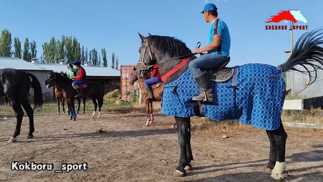 Император тоодо тапталууда. смотреть онлайн