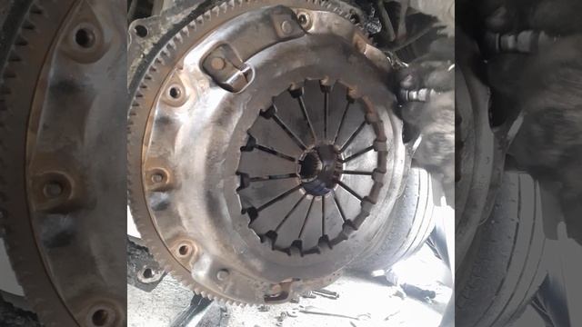 [Vlog #8] KIA K2700 - Baba Transmission (SOLO FLIGHT!) PART 6 смотреть онлайн