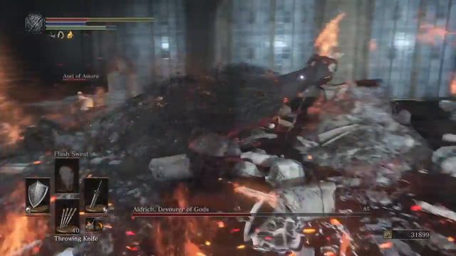 DARK SOULS 3 - Anri's Final Battle (Helping her with Aldritch fight) смотреть онлайн
