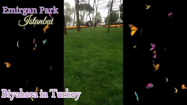 Best Park to visit in Istanbul | Emirgan Park during Tulip Festival | SPRING IN TURKEY смотреть онлайн