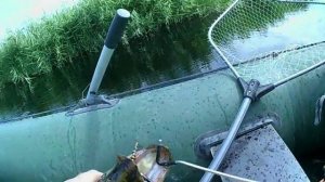 Рыбалка на реке Восточный Маныч