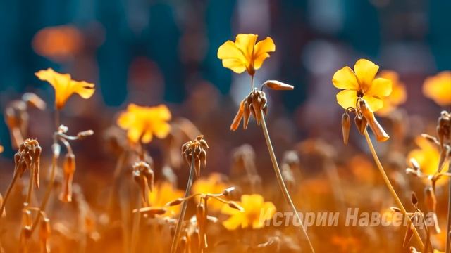 Вдовец-миллионер нанял сиделкой сироту для дочери. А однажды вернувшись домой раньше… смотреть онлайн
