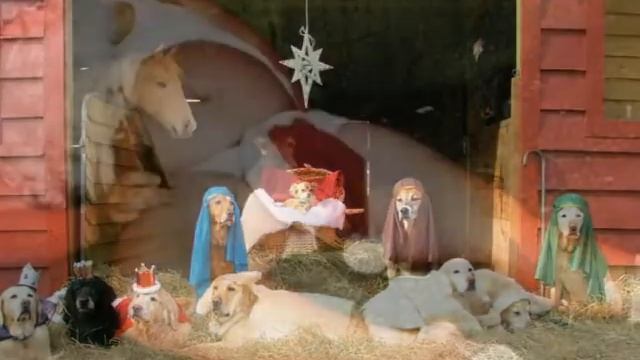 Meteor and Zarr - Stuff the Turkey смотреть онлайн