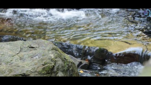 Что такое Первоисточник смотреть онлайн