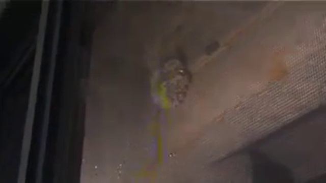 Party at George Prescott Bush College House (2/2) - Part 03 смотреть онлайн