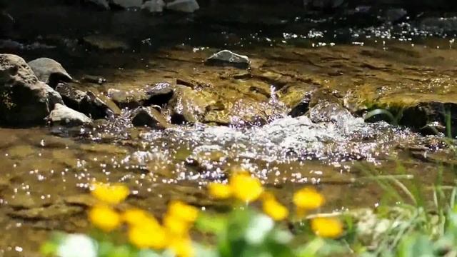 2 часа - звуки природы. Шум реки, пение птиц. ? Для релаксации, крепкого сна и медитации. Relax смотреть онлайн