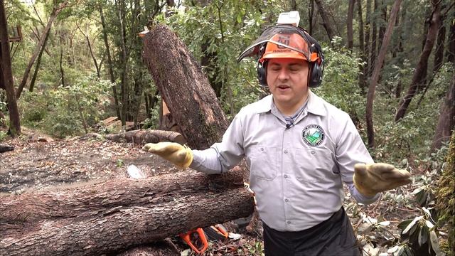 Husqvarna 540i XP Electric Chainsaw Review And Battery Test