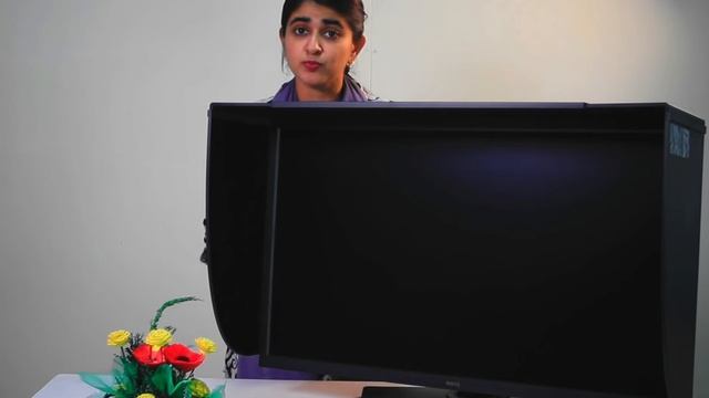 Benq SW321C 32-Inch 4K Professional Monitor