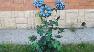 Цветы из пластиковых бутылок на даче! Идеи для дачи, сада