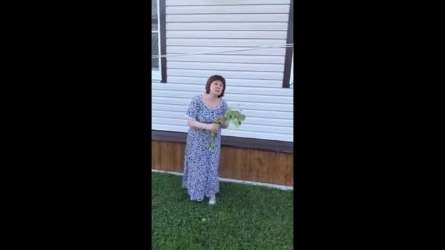 Традиции Троицы смотреть онлайн