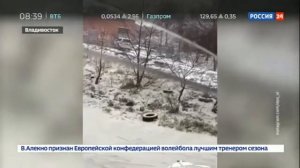 во Владивостоке отмечают "день жестянщика"