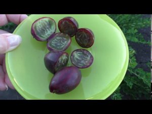 Гранд, вкусный крыжовник супер урожай, гигантская ягода.