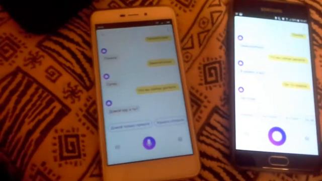 Две Алисы периговариваются.