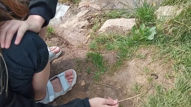 VID_20220716 Пиявка