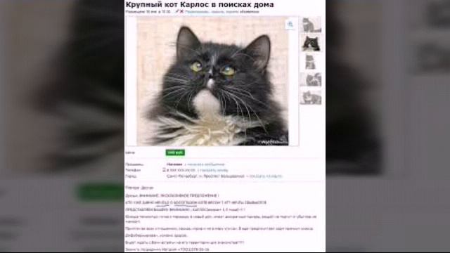 СМЕШНЫЕ ОБЪЯВЛЕНИЯ НА АВИТО смотреть онлайн