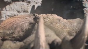 "THE LANDER" (Посадочный модуль) Фантастика.  Короткометражка.