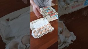 отзыв от покупателей инкубационного яйца