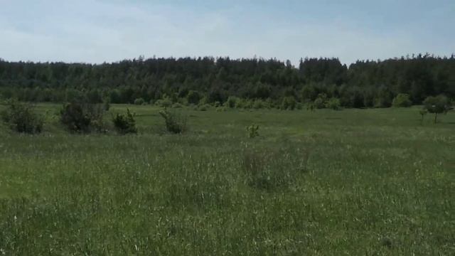 Продам дом смотреть онлайн