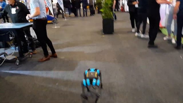 ROBODOG Unitree and Spot Boston Dynamics Team Vs 20,000 people Sydney Build2022 EXPO смотреть онлайн